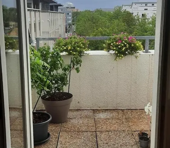 Relaxant A Ile De * 南特