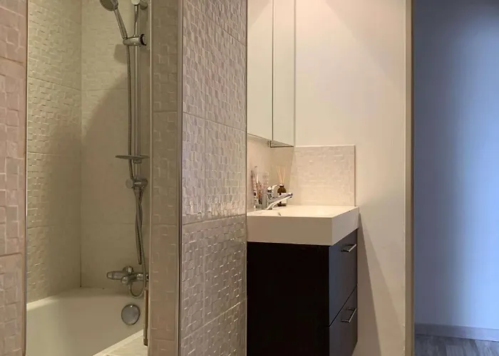 Relaxant A Ile De 住宿加早餐酒店 *